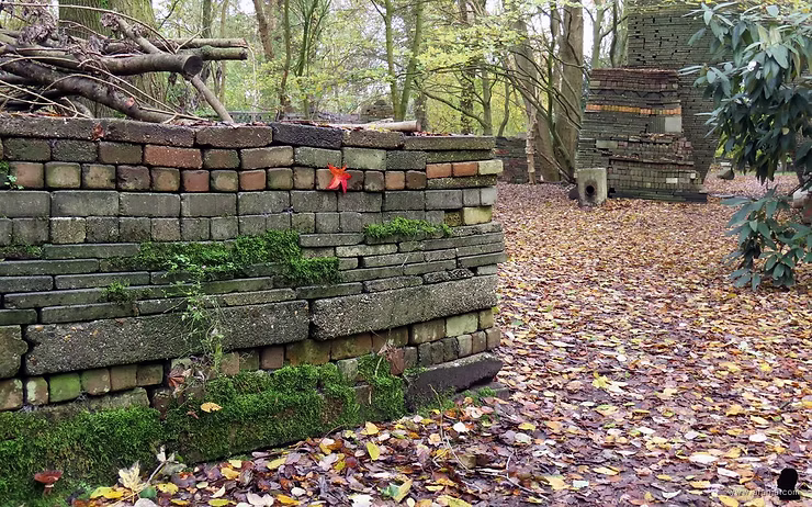 De Ecokathedraal: een les in tijd, natuur en regeneratief denken 3