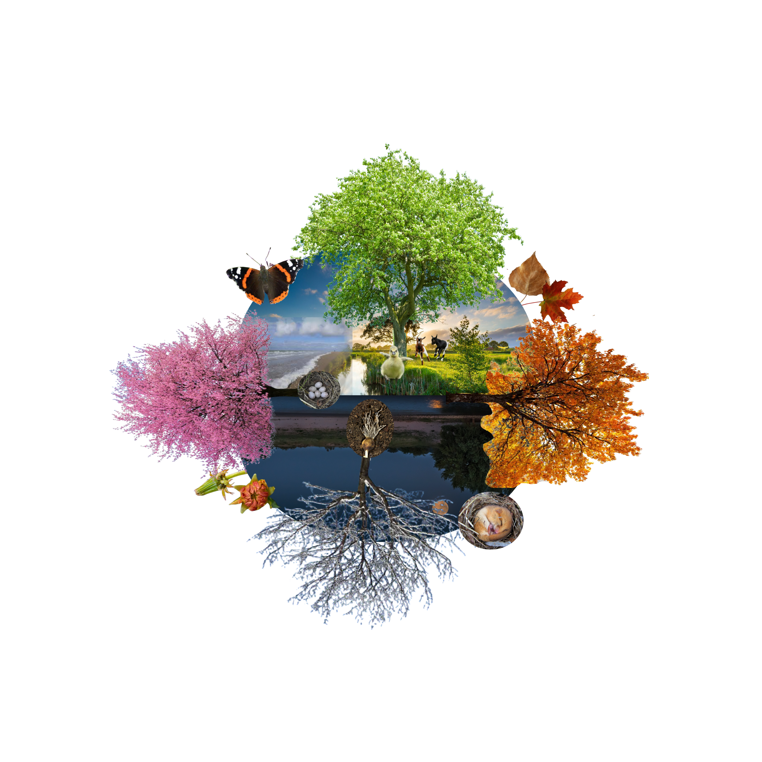 Beweeg mee met natuurlijke en culturele ritmes