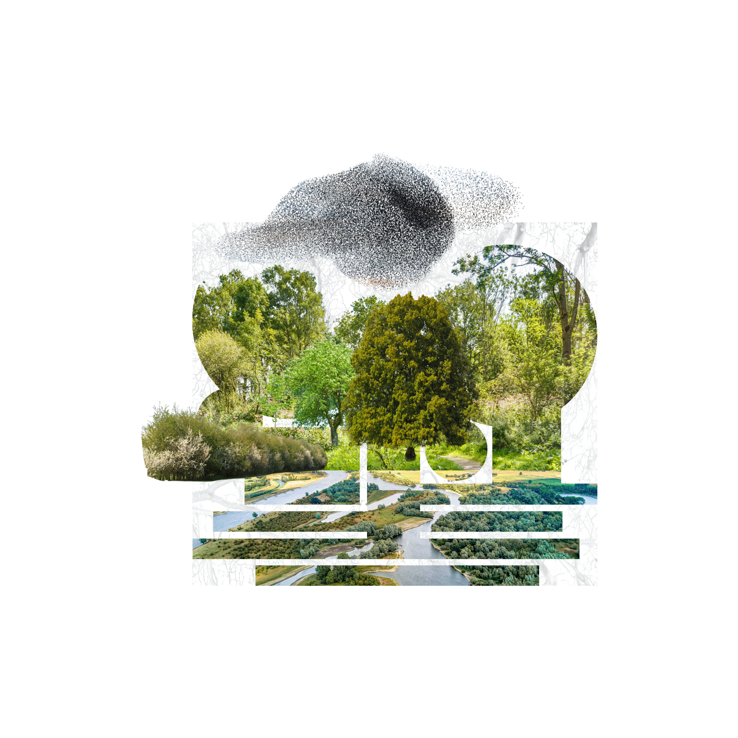 Ontwerp voor natuurlijke zelforganisatie